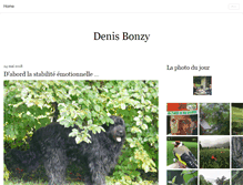 Tablet Screenshot of denisbonzy.com